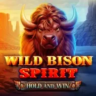 Wild Bison Spirit Hold and Win